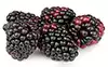 Brombeeren
