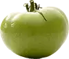 große grüne Tomate (über