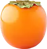 Persimmon