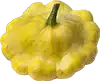 pattypan squash, trim stiele kurz (jede farbe)