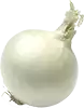 weiße Zwiebel, gehackt