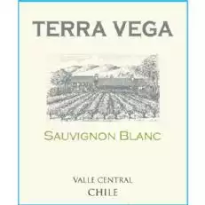 Terra Vega Sauvignon Blanc (ODER koscher)