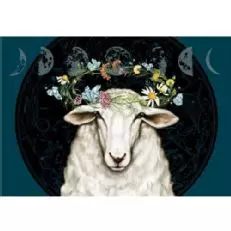 Bonterra Elysian Merlot aus biologischem Anbau