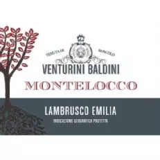 Venturini Baldini Montelocco Lambrusco