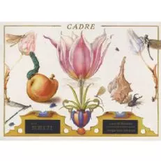 Cadre Steinblüte Sauvignon Blanc