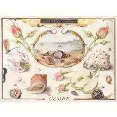 Kader Seekönigin Albarino