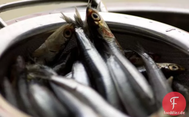 Marinierte Boquerones