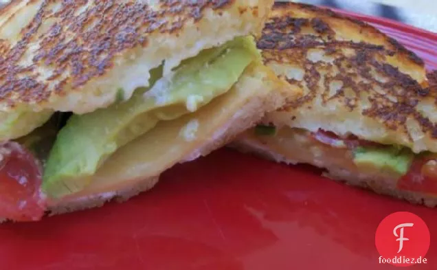 Gourmet Gegrillter Käse