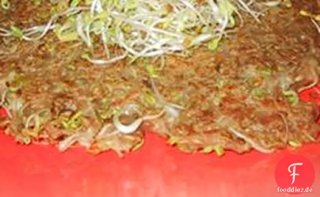 Gingery Mung Bean Sprossen Pfannkuchen