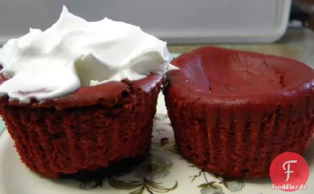 Roter Samt Käsekuchen Cupcakes