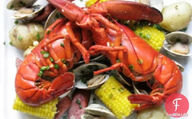 Hummer Kochen