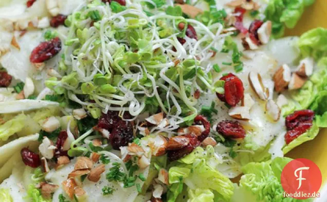 Sellerie, Rettichsprossen und Salat