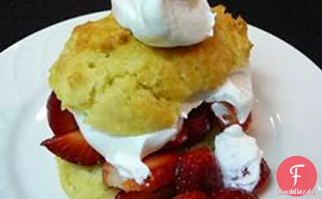 Sommer Früchte Shortcakes