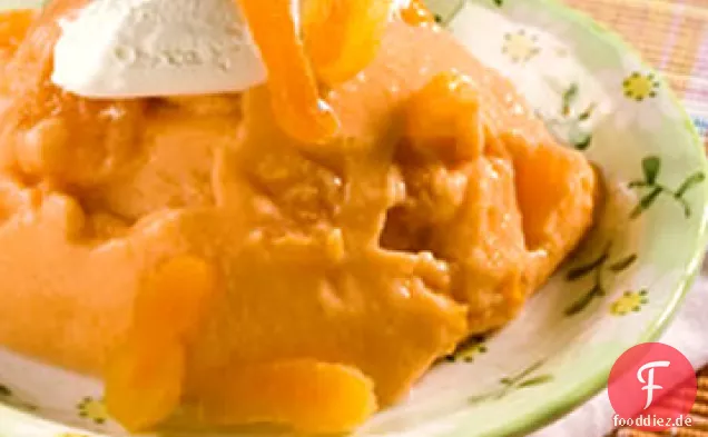 Aprikosen-Dessert