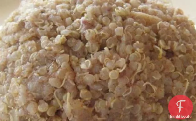 Gewürzte Trockenfrüchte Quinoa