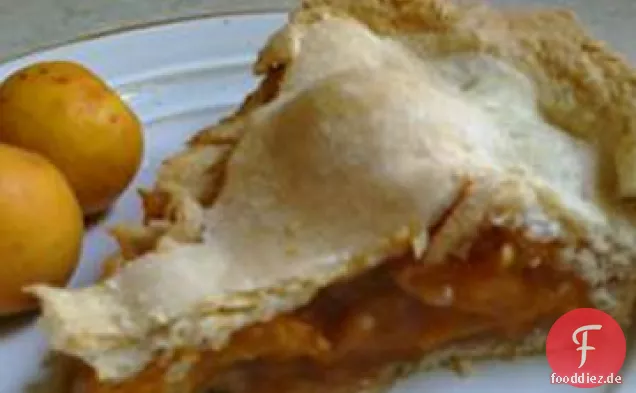 Aprikosenkuchen