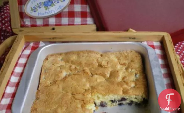 Schmelzen Sie in Ihrem Mund Blaubeerkuchen