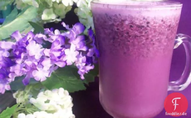 Diabetische Blueberry Fizz