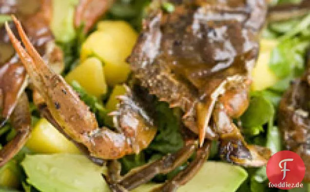 Kresse, Avocado Und Mango Salat