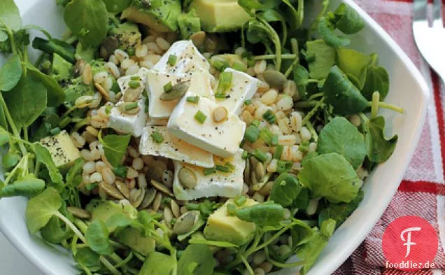 Gerste -, Avocado-Und Brie-Käse