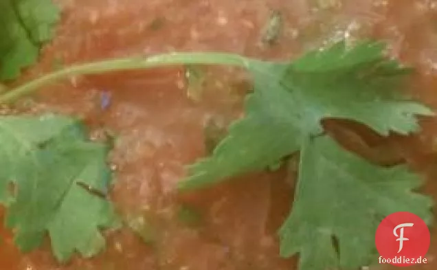 Garten-Tomaten-Salsa