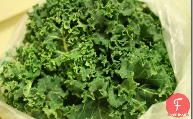 Veganer Rahmkohl