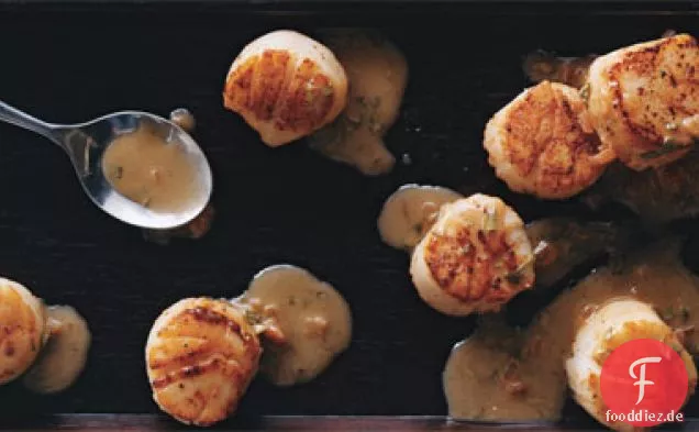 Gebratene Jakobsmuscheln mit Estragon-Butter-Sauce