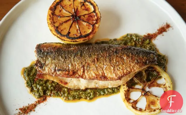 Grundlegende Chermoula