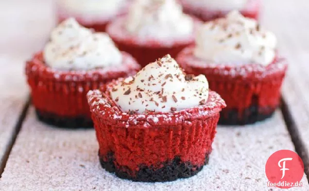Roter Samt Käsekuchen Mini Kuchen