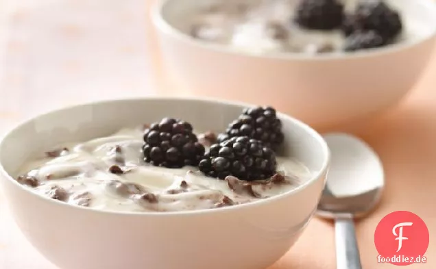 Chocolate Chip Joghurt Freude