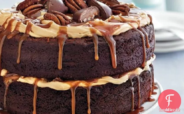 Schokolade Schildkröte Schicht Kuchen