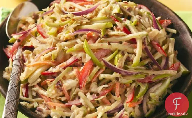 Würzige Mexikanische Kohl Slaw