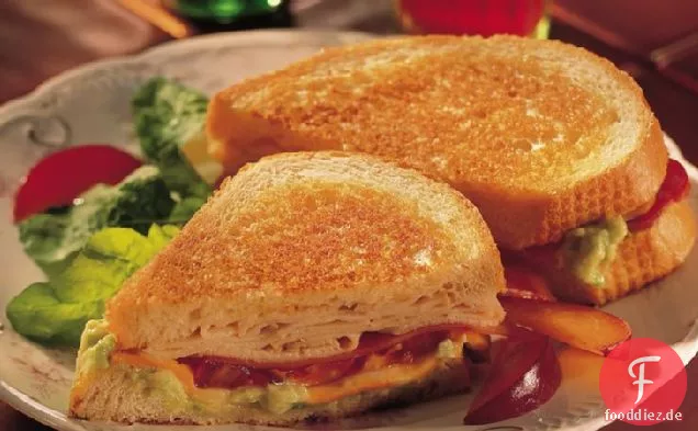 Montana Panini