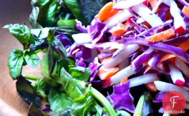 Lila Slaw Salat mit Ahorn Essig Dressing