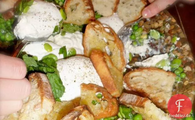 Fava Bohnen Und Erbsen Mit Burrata