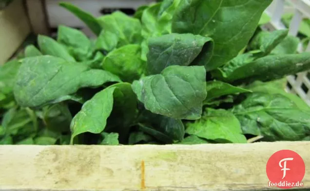 Spinatsalat mit Pilzen, Schinken und Pinienkernen