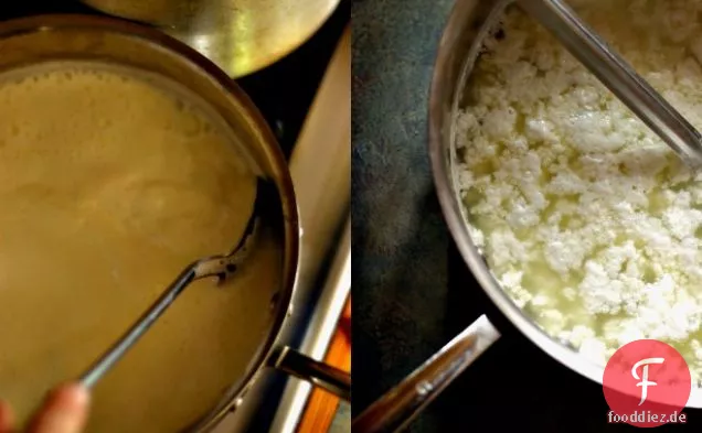 Saag Paneer: Spinat Mit Indischem Käse