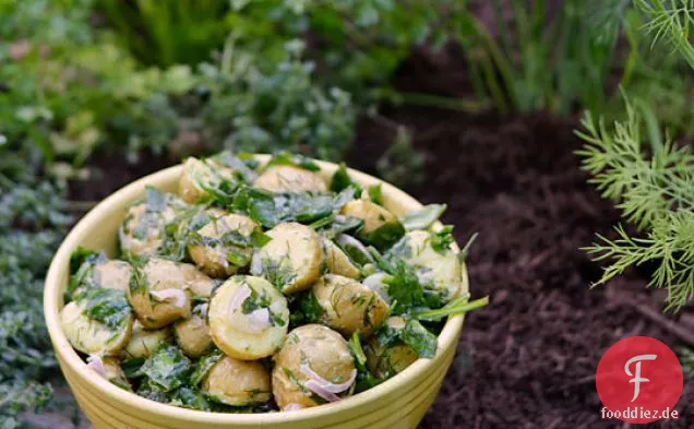 Kräutergarten Kartoffeln mit frischem Spinat & Zitrone