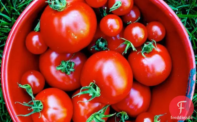 Gorgonzola-Tomaten-Salat