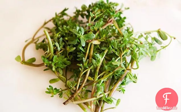 Tomaten, Gurken, Portulak-Salat