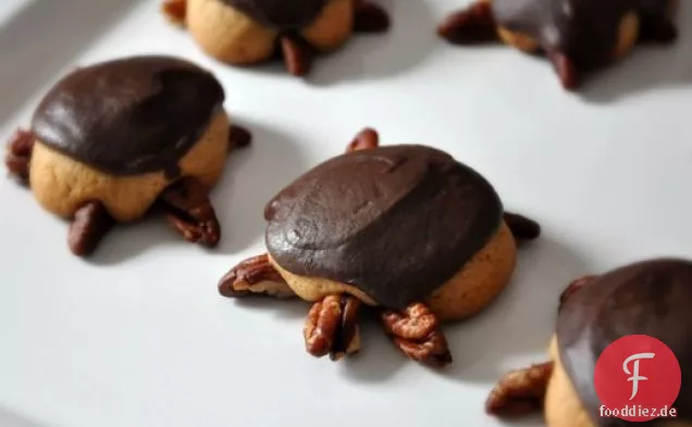 Snappy Turtle Cookies