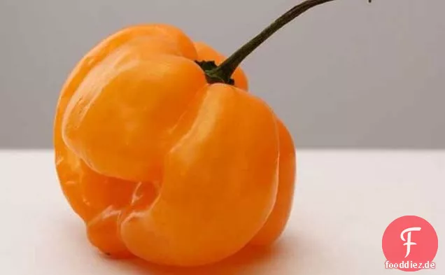 Habanero-gesalzener gerösteter Truthahn