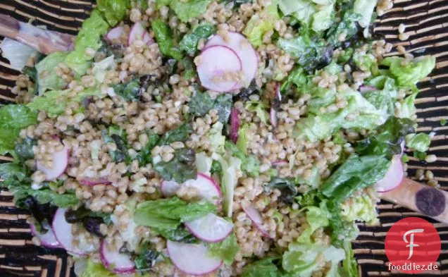 Weizen Berry Salat Mit Zitronen-tahini-Dressing