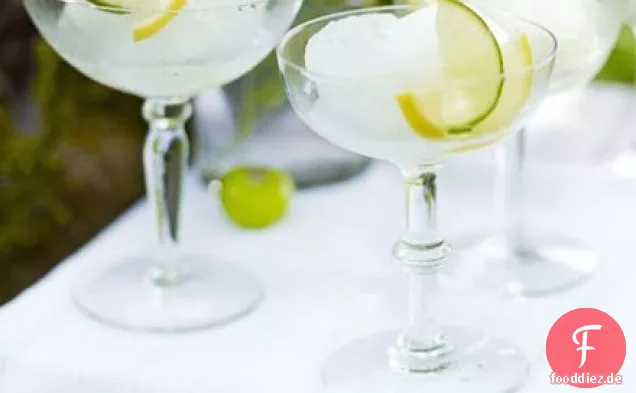 Gin & tonic sorbet