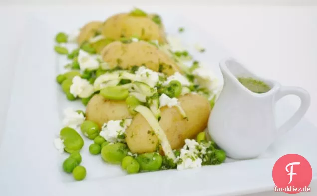 Grüner Charlotte Salat