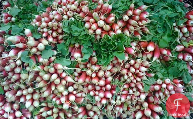 Spritziger verwelkter Gurken-Rettich-Salat