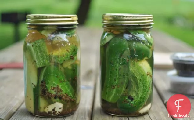 Knoblauch Dill Kühlschrank Gurken