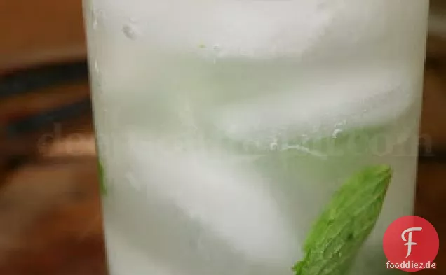 Der Perfekte Mojito