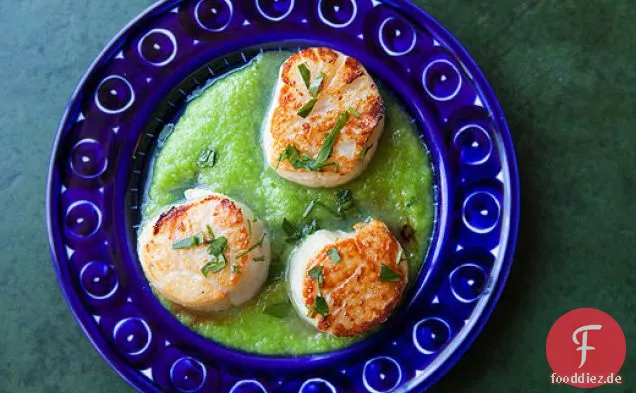 Gebratene Jakobsmuscheln mit Spargelsauce