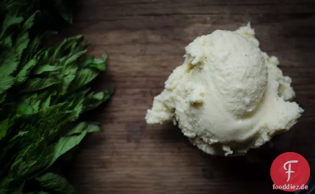 Vanilleschote und frisches Minze-Eis